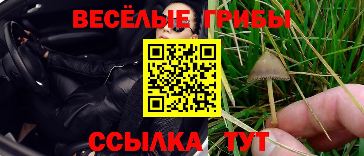 Омск  Галлюциногенные грибы Magic Shrooms  Вход с VPN 